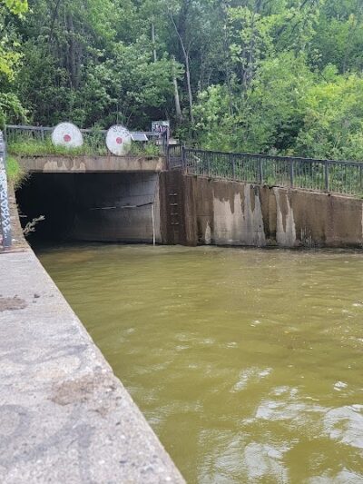 Meeker Island Dog Park - St Paul, MN