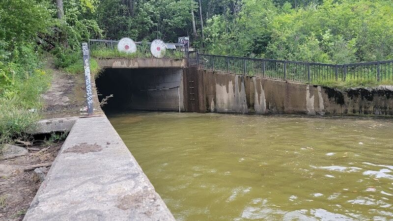 Meeker Island Dog Park - St Paul, MN