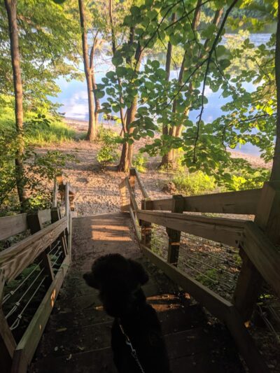 Meeker Island Dog Park - St Paul, MN