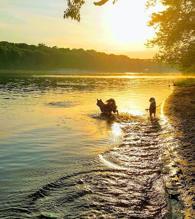 Meeker Island Dog Park - St Paul, MN
