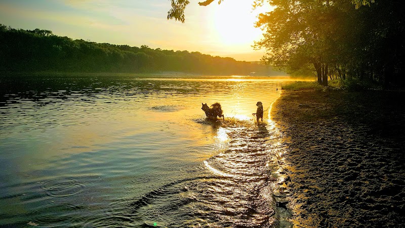 Meeker Island Dog Park - St Paul, MN