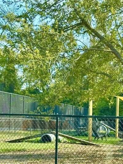 Epworth Dog Park - St Simons Island, GA