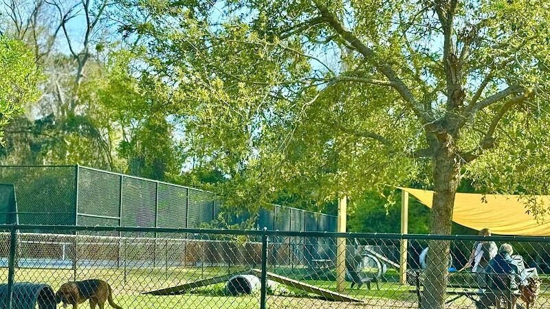 Epworth Dog Park - St Simons Island, GA