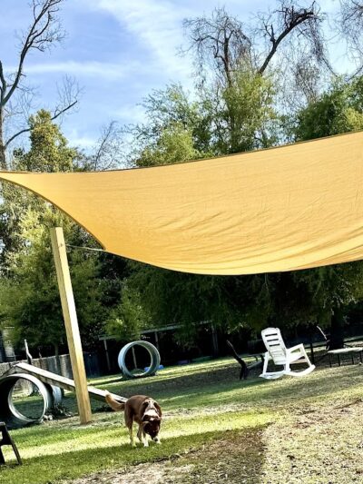 Epworth Dog Park - St Simons Island, GA