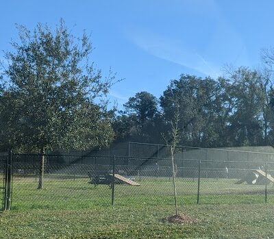 Epworth Dog Park - St Simons Island, GA