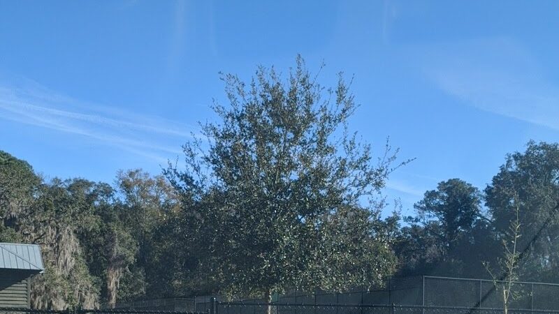 Epworth Dog Park - St Simons Island, GA