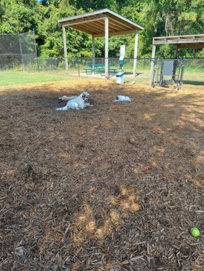 Epworth Dog Park - St Simons Island, GA