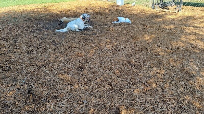 Epworth Dog Park - St Simons Island, GA