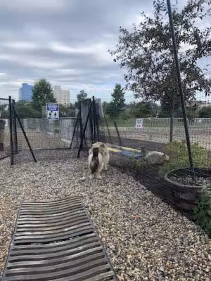 Mill River Bark Park - Stamford, CT