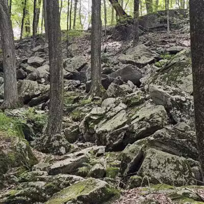 Mianus River Park - Stamford, CT