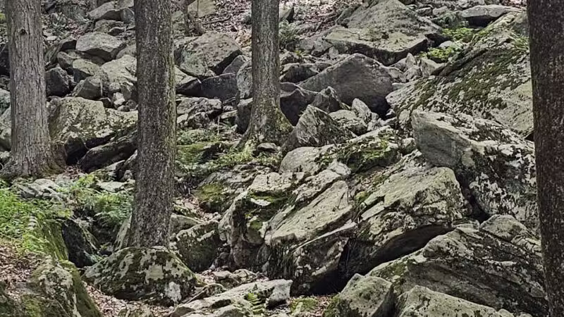 Mianus River Park - Stamford, CT