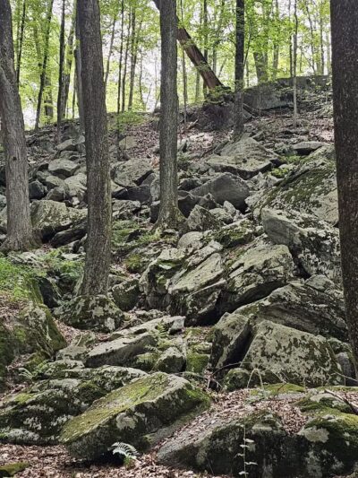 Mianus River Park - Stamford, CT