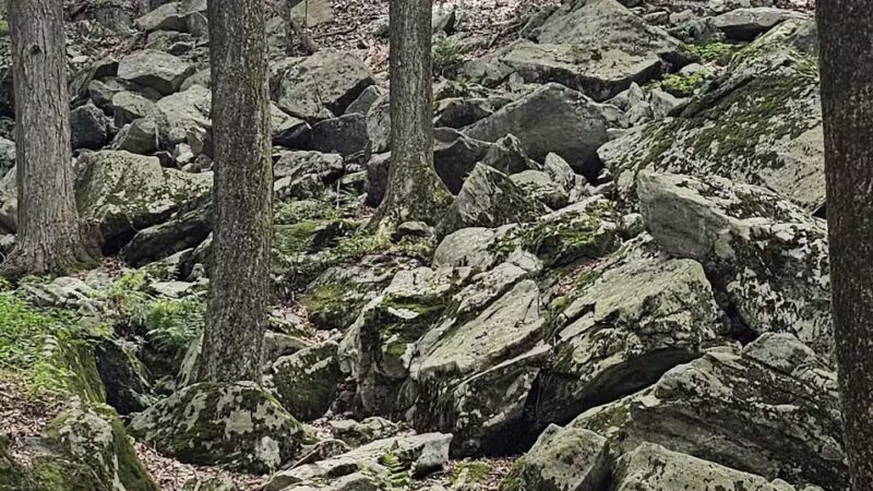 Mianus River Park - Stamford, CT