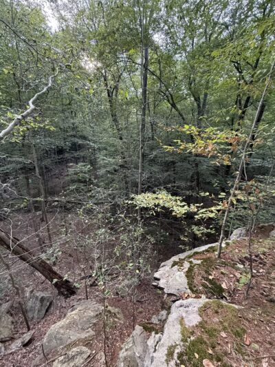 Mianus River Park - Stamford, CT