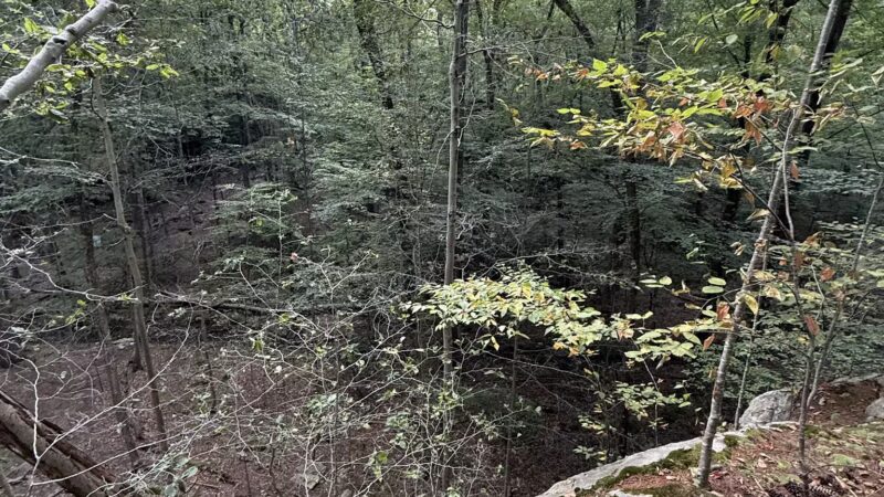 Mianus River Park - Stamford, CT