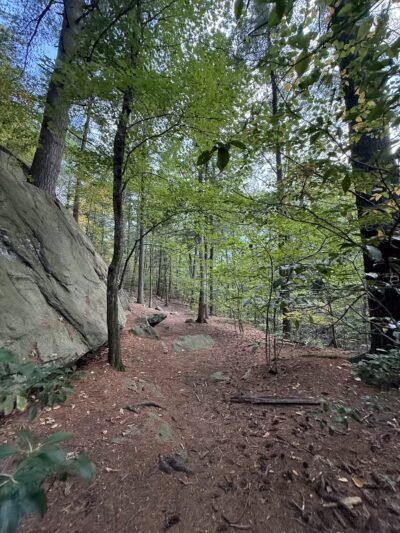 Mianus River Park - Stamford, CT