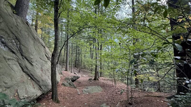 Mianus River Park - Stamford, CT