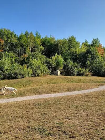 Standish Dog Park - Standish,