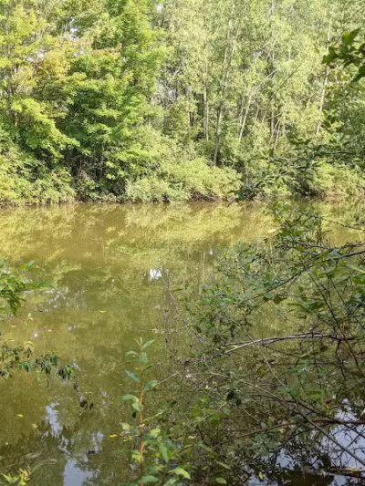 Standish Nature Preserve - Standish,
