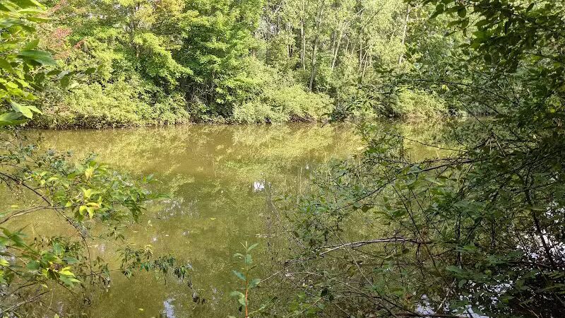 Standish Nature Preserve - Standish,