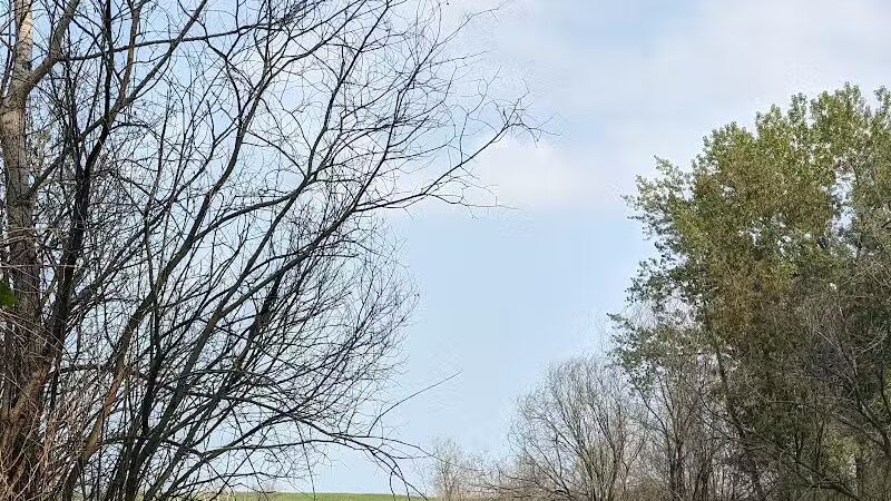 Standish Nature Preserve - Standish,