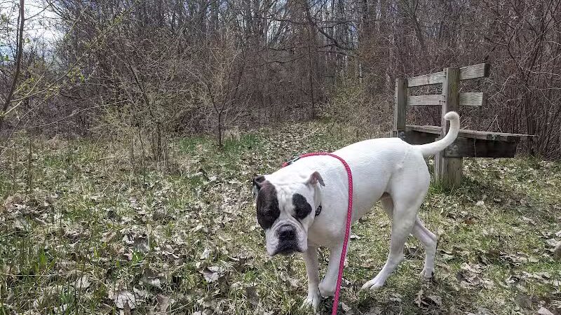 Standish Nature Preserve - Standish,