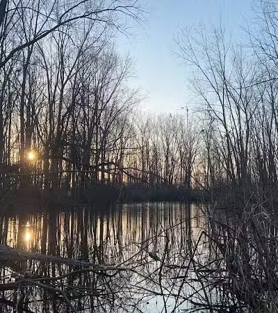 Standish Nature Preserve - Standish,