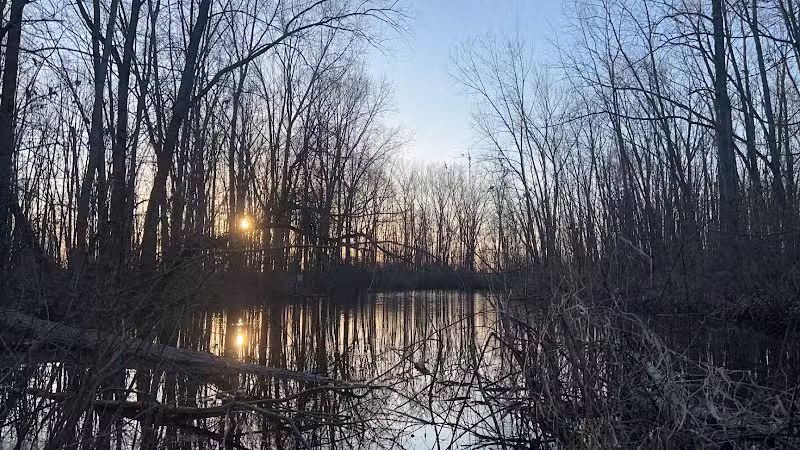 Standish Nature Preserve - Standish,