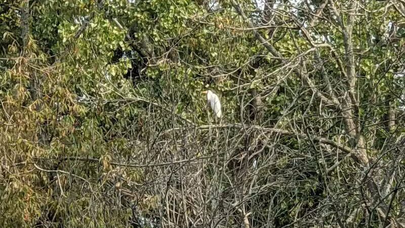 Standish Nature Preserve - Standish,