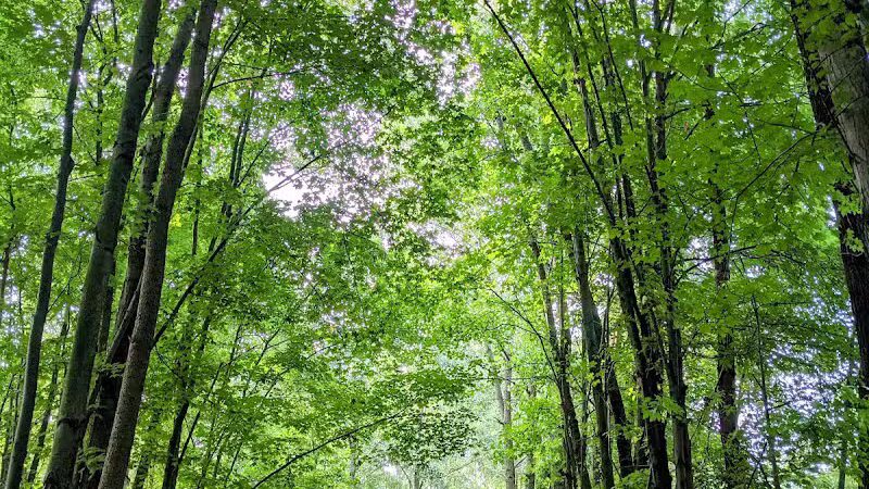 Standish Nature Preserve - Standish,