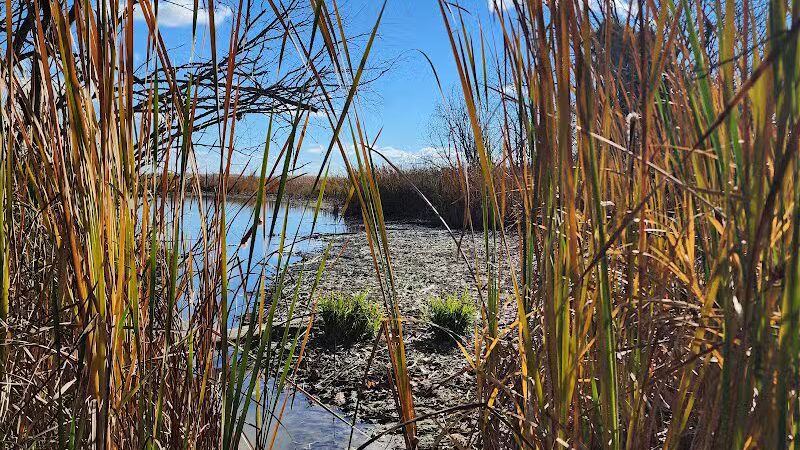 Standish Nature Preserve - Standish,