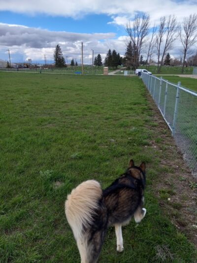 Dog Park - Stanley, ND