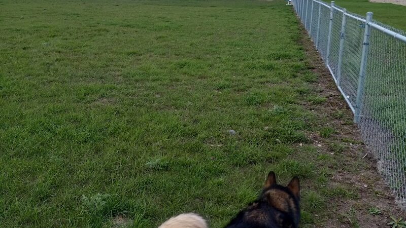 Dog Park - Stanley, ND