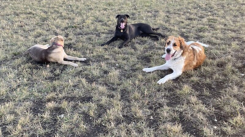 Dog Park - Stanley, ND