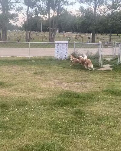 Dog Park - Stanley, ND