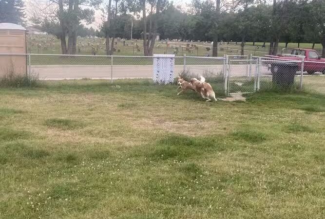 Dog Park - Stanley, ND