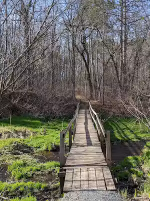Saratoga Springs Park - Star Prairie, WI