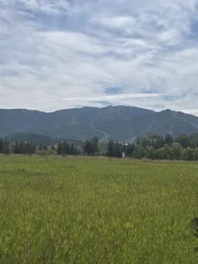 Rita Valentine Dog Park - Steamboat Springs, CO
