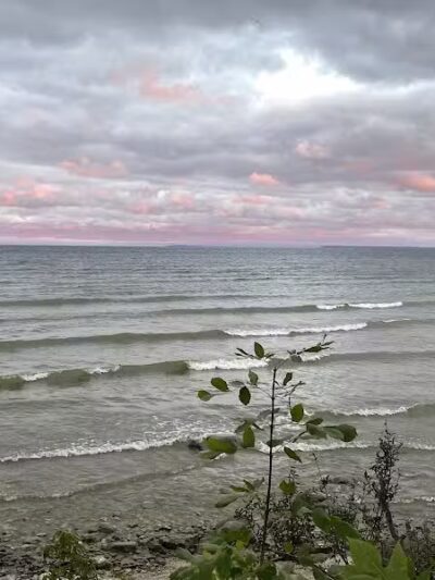 J.W. Wells State Park - Stephenson,