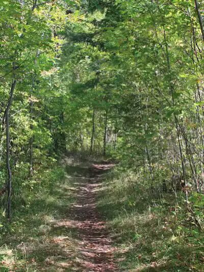 J.W. Wells State Park - Stephenson,