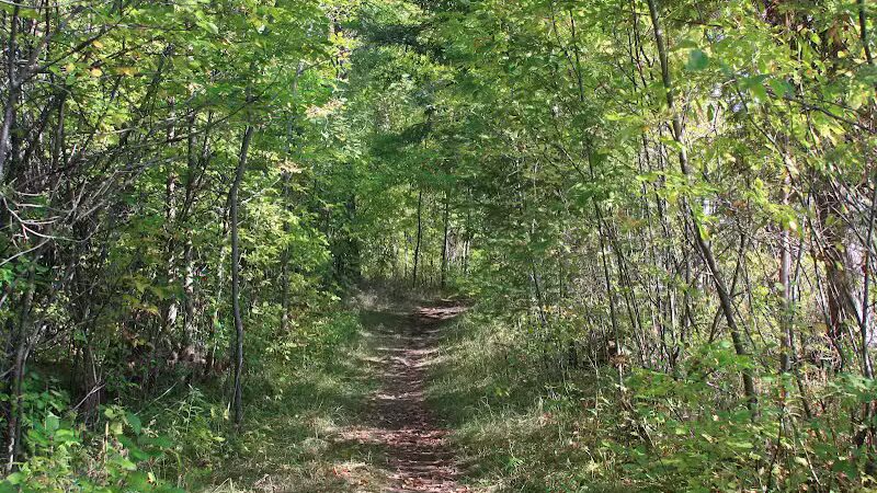J.W. Wells State Park - Stephenson,