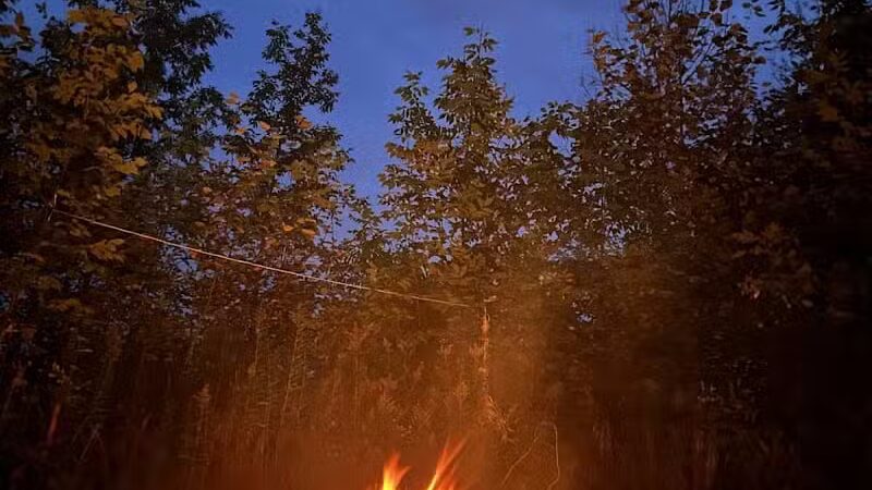 J.W. Wells State Park - Stephenson,