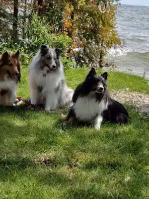 J.W. Wells State Park - Stephenson,