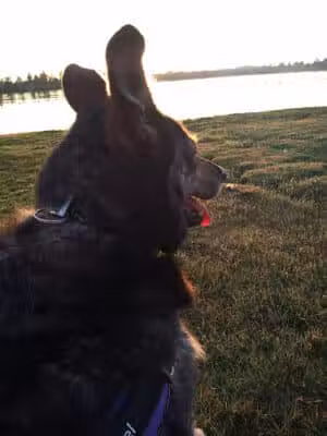 Shakey Lakes Park - Stephenson,