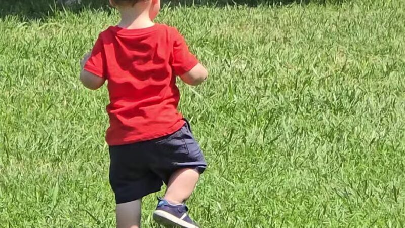 Claude Moore Park Visitor Center - Sterling, VA