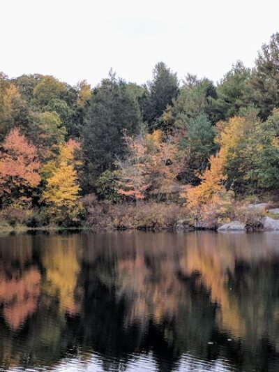 Sterling Playground, no pets allowed. (Including dogs) - Sterling, CT