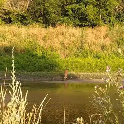 Baumgartner Park - Sterling Heights,