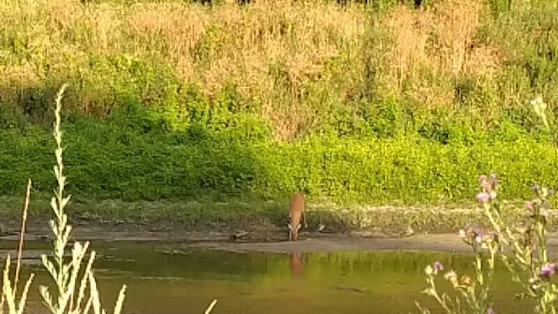 Baumgartner Park - Sterling Heights,