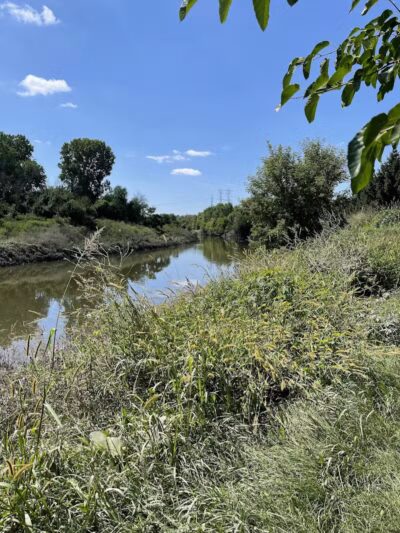 Baumgartner Park - Sterling Heights,
