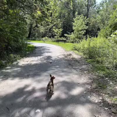 Clinton River Park North - Sterling Heights,